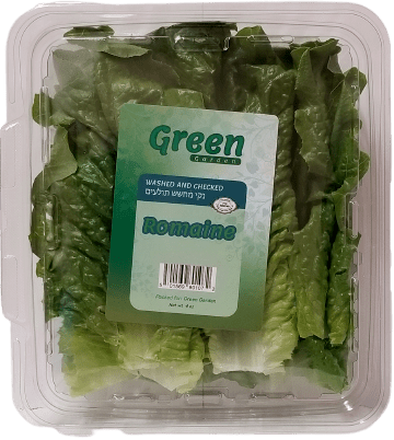Romaine Leaves