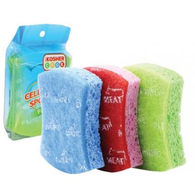 Sponge Blue