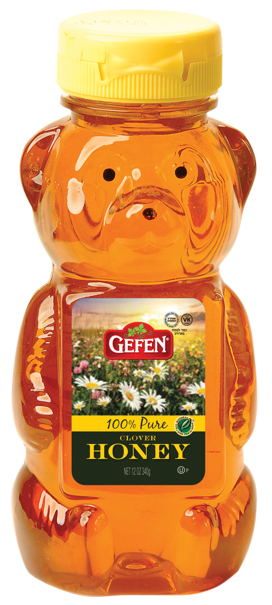 Honey Bear Plastic