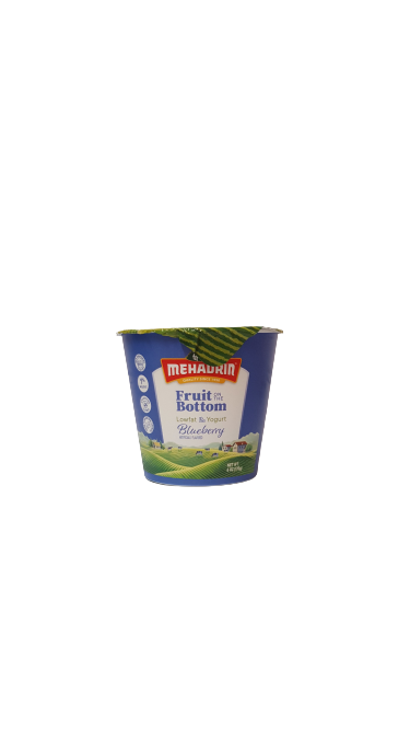Blueberry Yogurt