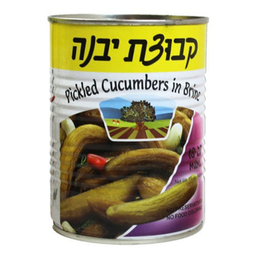Cucumbers In Brine 18-25